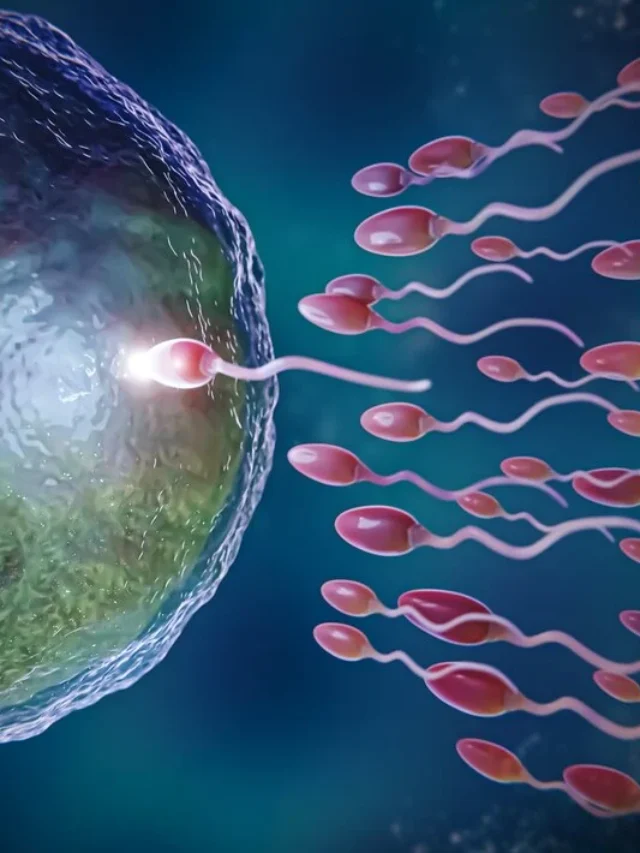 Proven Techniques to Boost Male Fertility and Quickly Increase Sperm Count